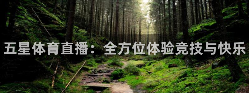 360体育足球直播网：五星体育直播：全方位体验竞技与快乐