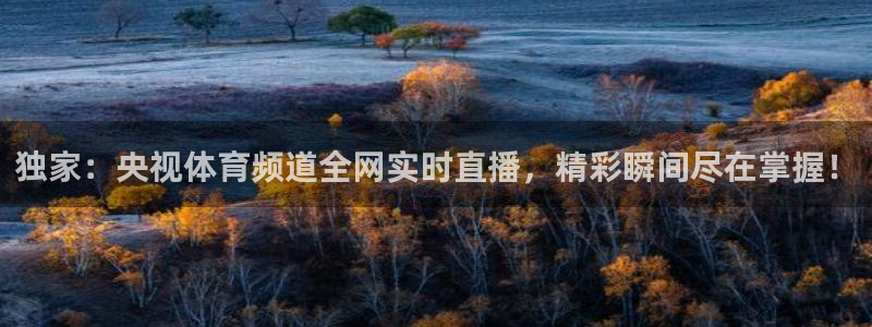 雨燕360体育直播高清完整版：独家：央视体育频道全网实时直播，精彩瞬间尽在掌握！