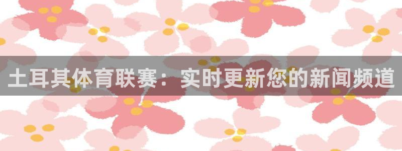 360直播体育：土耳其体育联赛：实时更新您的新闻频道