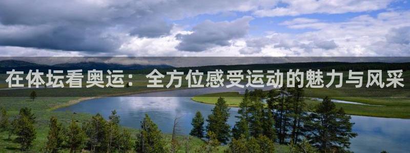 360直播足球直播在线直播：在体坛看奥运：全方位感受运动的魅力与风采