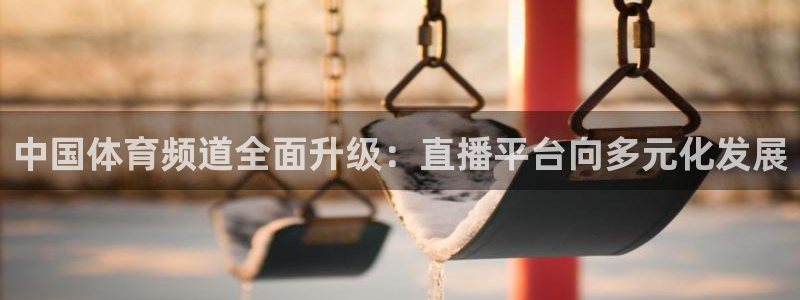 山东体育360足球直播在线观看：中国体育频道全面升级：直播平台向多元化发展