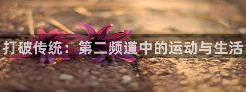 360直播足球直播：打破传统：第二频道中的运动与生活